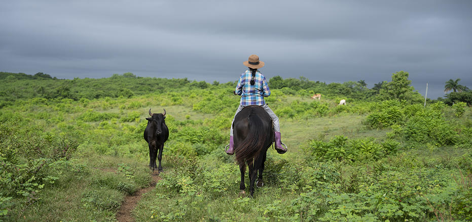 Sustainable Agriculture in Cuba